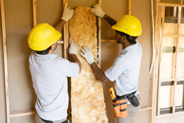 Best Basement Insulation  in Oberlin, OH